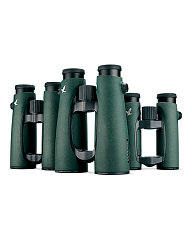 Оптика Оптика